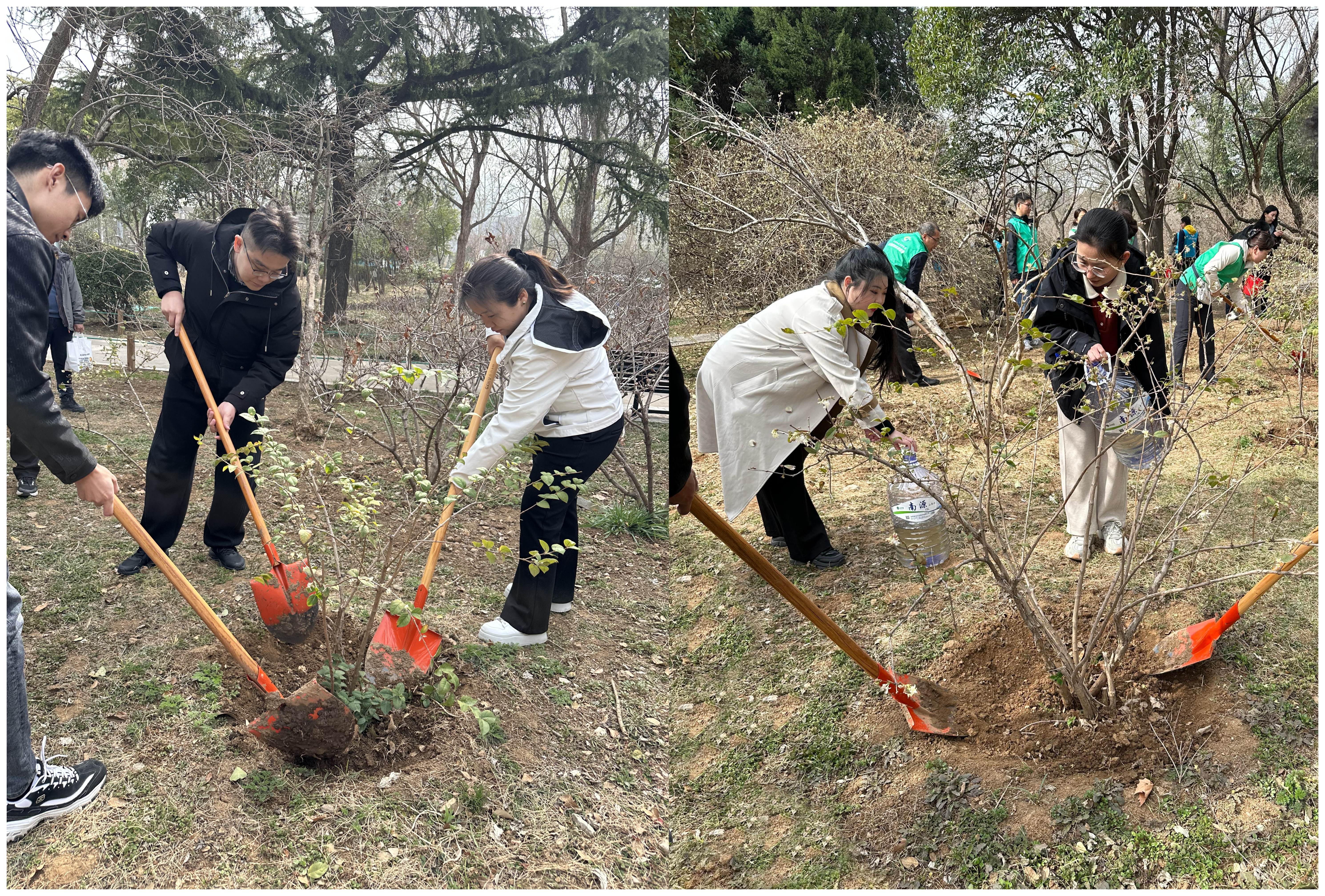 1741857830575.png 圖片2.png